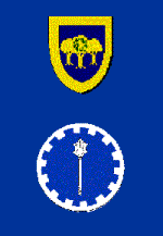 [branch constable's baldric]